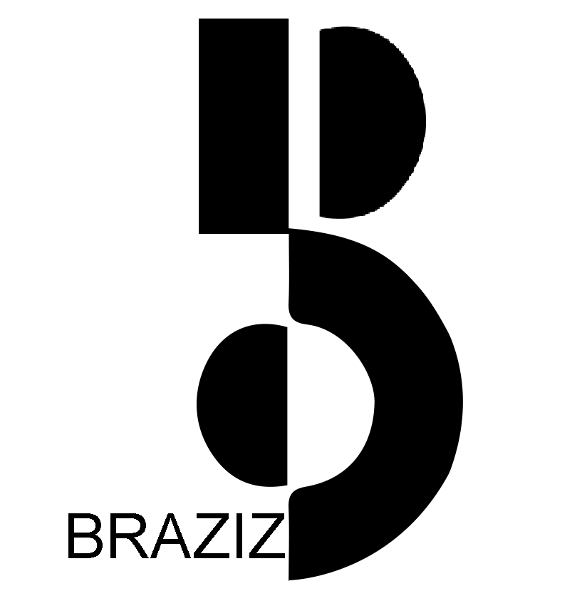 BRAZIZ INTERNATIONAL